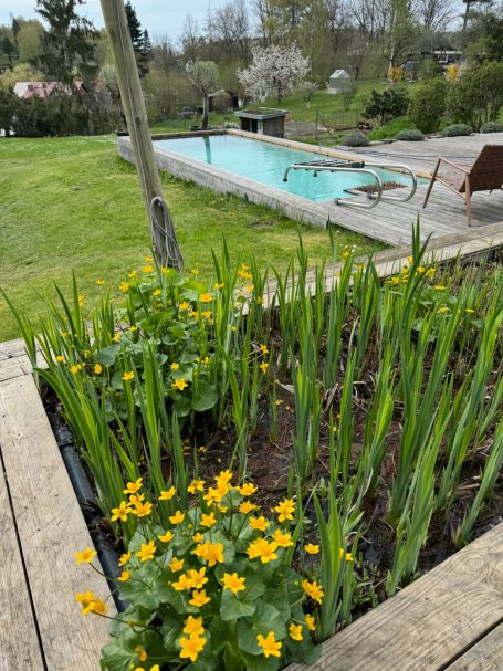 AQUANT Kompakt-Schwimmteich im Frühling
