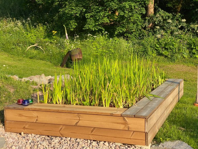 Hochbeet mit grünen Pflanzen in einem Garten, umgeben von Rasen und Bäumen.
